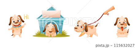 Cute Dog with Collar as Domestic Pet Engaged in Different Activity Vector Set Cute Dog with Collar as Domestic Pet Engaged in Different Activity Vector Set 115632027