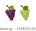 Set of bunches of grapes. Purple and green grapes 115633119