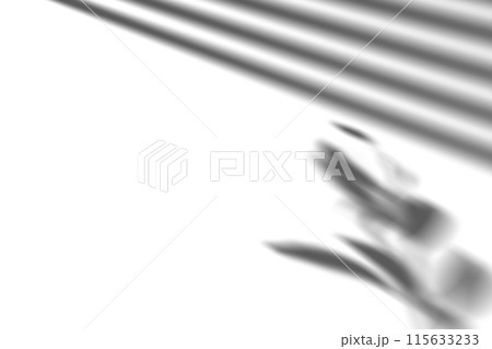 Shadow from window blinds and plant, overlay effect. Realistic gray shadow on white background. Applicable for product presentation, photos, backdrop. Sun light, rays. 3D render. 115633233
