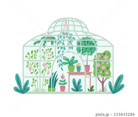 Glass orangery with plants. 115633284