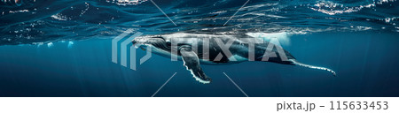 A humpback whale swimming in the ocean, underwater photography, blue water, clear and deep sea surface, light refraction of sunlight on waves, wideangle lens perspective, majestic atmosphere, spectacu 115633453