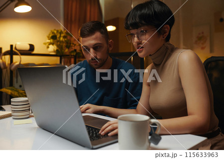 Colleagues Checking Marketing Report 115633963