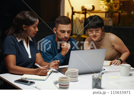 Watching Product Presentation Watching Product Presentation 115633971