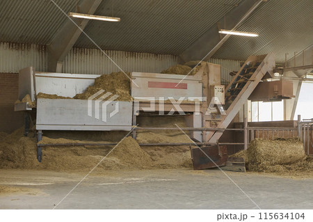 An automatic machine delivering hay to cows on a farm in Denmark 115634104