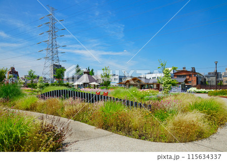オーナメンタルグラス ガーデン 宮前公園 オーナメンタルグラス ガーデン 宮前公園 115634337