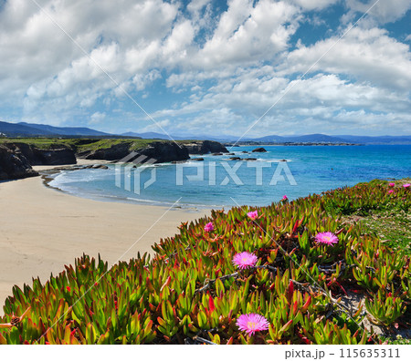 Atlantic sandy Islas beach (Spain). 115635311