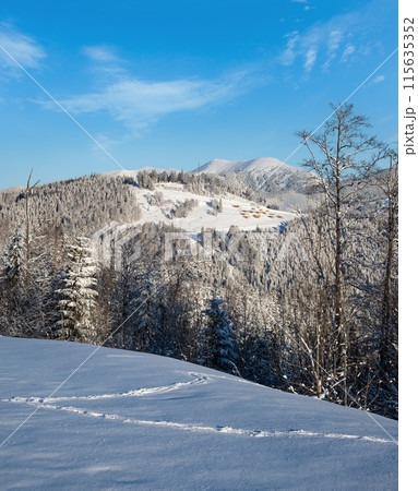 Winter Gorgany massiv mountains scenery view from Yablunytsia pass, Carpathians, Ukraine. Winter Gorgany massiv mountains scenery view from Yablunytsia pass, Carpathians, Ukraine. 115635352