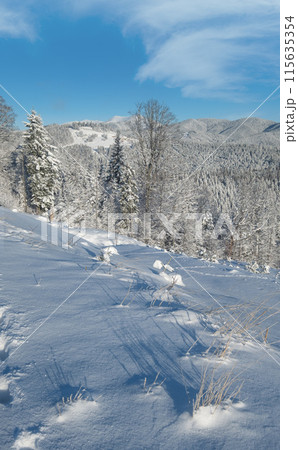Winter Gorgany massiv mountains scenery view from Yablunytsia pass, Carpathians, Ukraine. 115635354