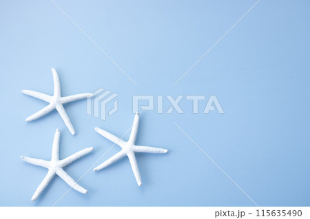背景素材・海モチーフ白いヒトデ 背景素材・海モチーフ白いヒトデ 115635490