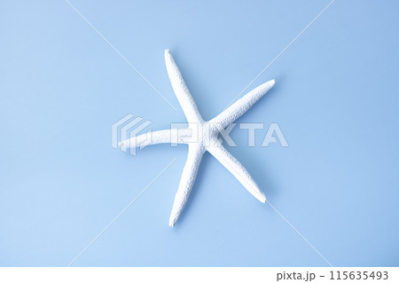 背景素材・海モチーフ白いヒトデ 115635493