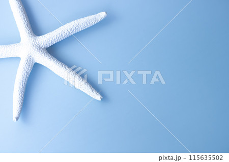 背景素材・海モチーフ白いヒトデ 背景素材・海モチーフ白いヒトデ 115635502
