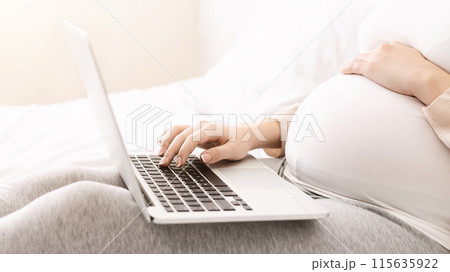 A woman is lying on a bed, engrossed in using a laptop computer. She is focused on the screen, typing and scrolling. The room is dimly lit, and she appears comfortable and relaxed. A woman is lying on a bed, engrossed in using a laptop computer. She is focused on the screen, typing and scrolling. The room is dimly lit, and she appears comfortable and relaxed. 115635922