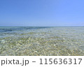 パンダノン島（フィリピン） 115636317