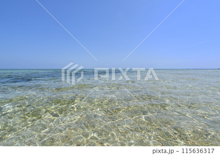 パンダノン島(フィリピン) パンダノン島(フィリピン) 115636317