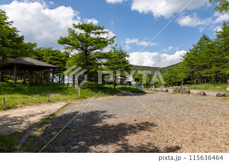 池の平駐車場周辺 長野県東御市 池の平駐車場周辺 長野県東御市 115636464