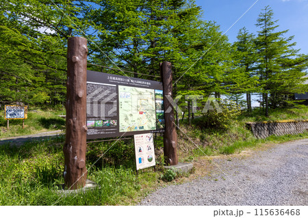 池の平駐車場周辺 長野県東御市 池の平駐車場周辺 長野県東御市 115636468