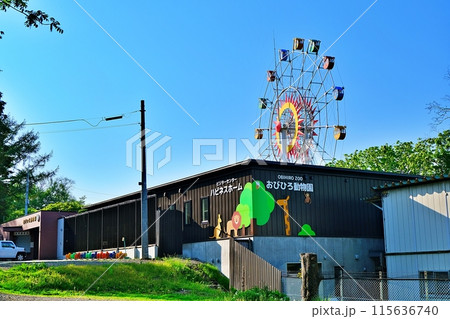おびひろ動物園の風景 115636740