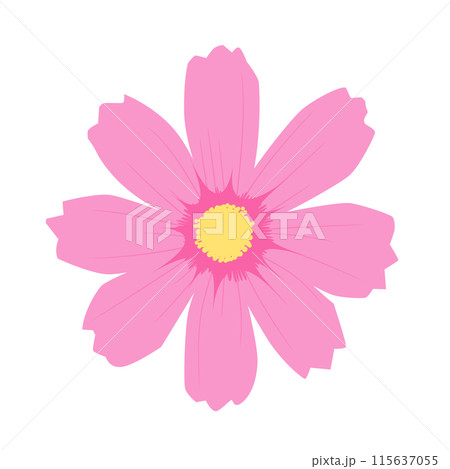 コスモスの花のイラスト コスモスの花のイラスト 115637055