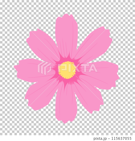 コスモスの花のイラスト コスモスの花のイラスト 115637055