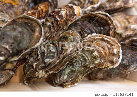 A dozen fresh, closed oysters lie in a wooden box. A dozen fresh, closed oysters lie in a wooden box. 115637141