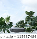 Natural stone and concrete podium on tropical beach with flowers. Empty showcase for packaging product  115637484