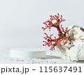 Background for cosmetic products white concrete scene with geometric shapes and red exotic flower. Concrete round white podium. Empty showcase for packaging product presentation. Mock up pedestal 115637491