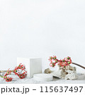Background for cosmetic products white concrete scene with geometric shapes and red exotic flower. Concrete round white podium. Empty showcase for packaging product presentation. Mock up pedestal 115637497