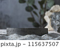 Background for cosmetic products grey concrete scene with geometric shape and natural rocks and leaves. Concrete grey podium. Empty showcase for packaging product presentation. Mock up pedestal 115637507