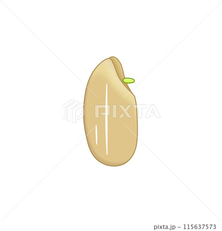 発芽玄米1粒 115637573