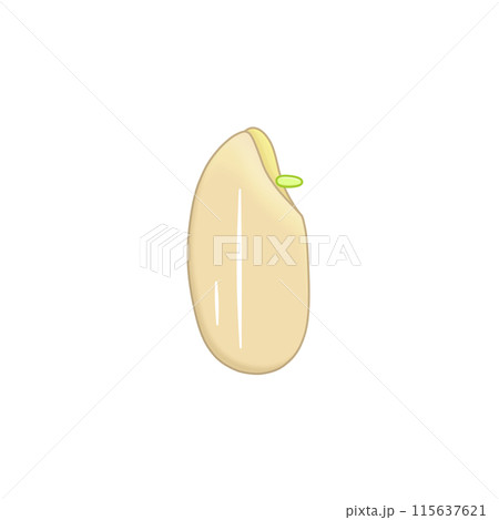 発芽玄米1粒 115637621