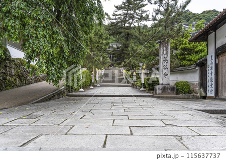 6月の長谷寺（奈良県）仁王門 115637737