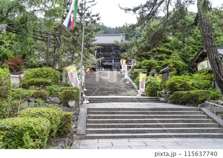 6月の長谷寺（奈良県）仁王門 115637740