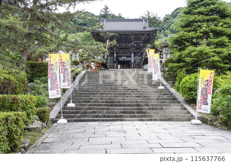 6月の長谷寺（奈良県）仁王門 115637766