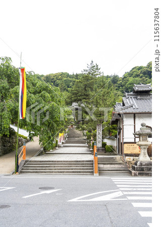 6月の長谷寺（奈良県） 115637804