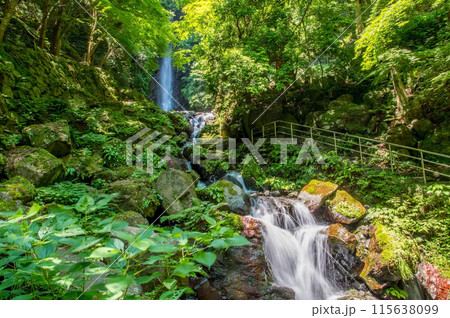 養老の滝《岐阜県・養老町・養老公園》 115638099
