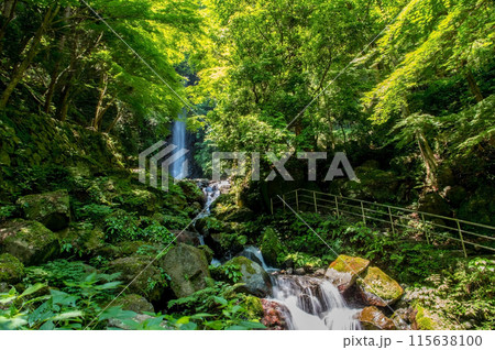 養老の滝《岐阜県・養老町・養老公園》 115638100