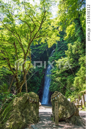 養老の滝《岐阜県・養老町・養老公園》 115638112