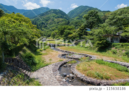 養老公園不動橋からの風景・夏《岐阜県・養老町・養老公園・養老の滝》 115638186