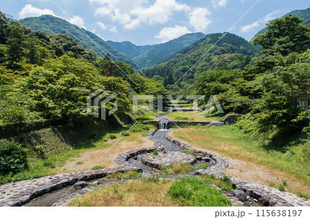 養老公園不動橋からの風景・夏《岐阜県・養老町・養老公園・養老の滝》 115638197