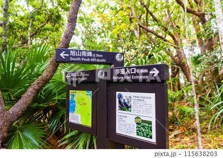 小笠原諸島・父島　旭山の風景 115638203