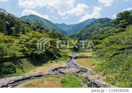 養老公園不動橋からの風景・夏《岐阜県・養老町・養老公園・養老の滝》 115638208