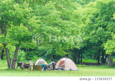 新緑の中でキャンプ 115638257