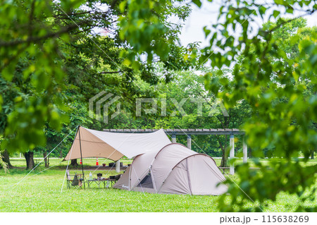新緑の中でキャンプ 115638269