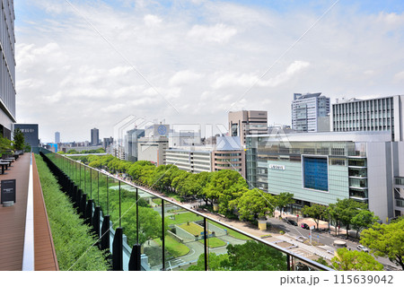 《愛知県》中日ビル屋上庭園から見る名古屋栄の街並み 115639042