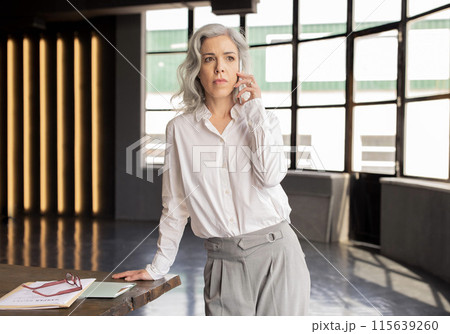 Professional Communication. Mature Businesswoman Talking On Cell Phone Standing At Workplace Indoor. Manager Lady Communicating Having Serious Conversation By Telephone In Office Interior 115639260