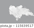 Abstract smoke or fog on transparent background, png 115639517