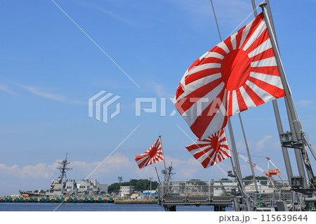 旭日旗　自衛艦旗　青空にはためく旭日旗 115639644