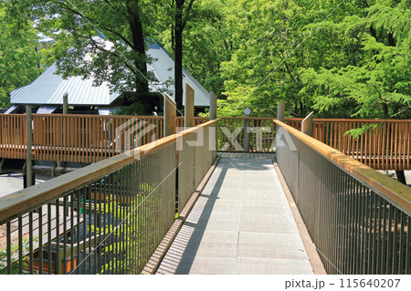 国営アルプスあづみの公園 大町・松川地区　森の体験舎 115640207