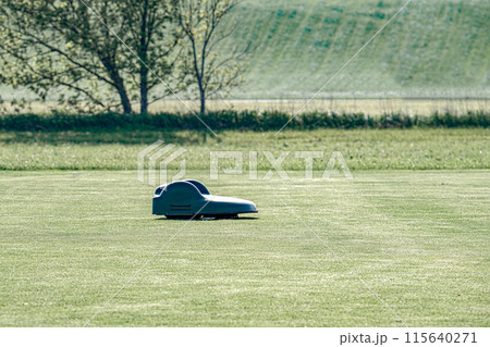 A battery-powered electric lawnmower drives across the field and cuts the grass. 115640271