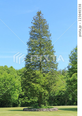 国営アルプスあづみの公園 大町・松川地区 115640338